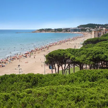 Mediterranea * La Pineda