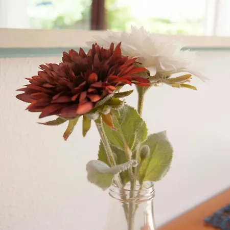 Mediterranea 아파트